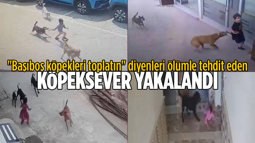 Sosyal medyadan cinayet çağrısı yapan köpeksever yakalandı