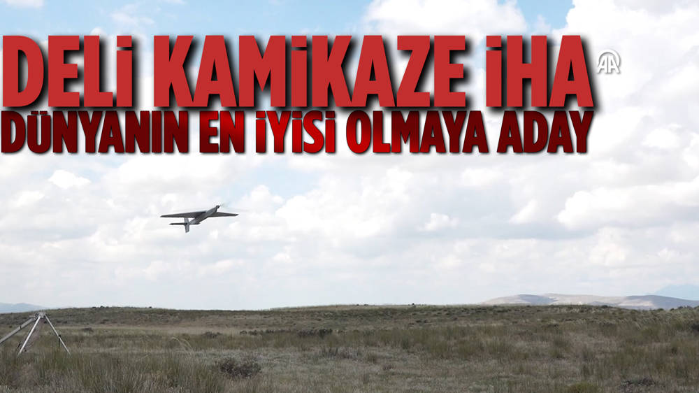 Türkiye'nin yeni kamikazesi ''DELİ'' göreve hazır