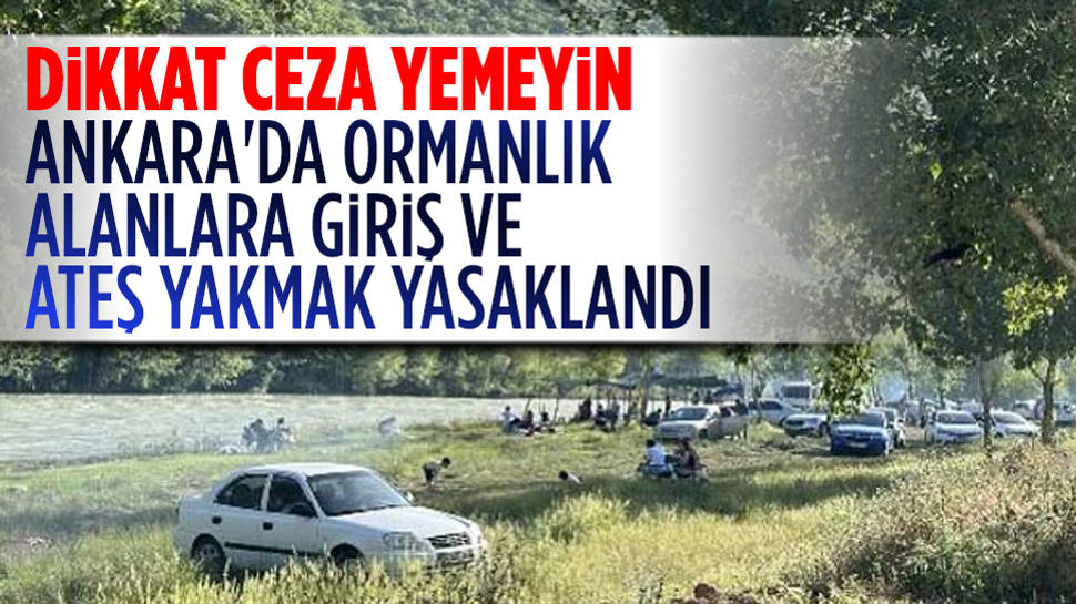 Ankara'da ormanlık alanlara giriş yasaklandı