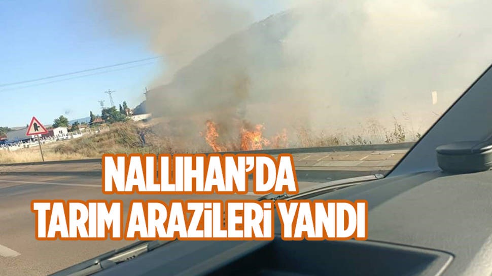 Ankara'da yangın