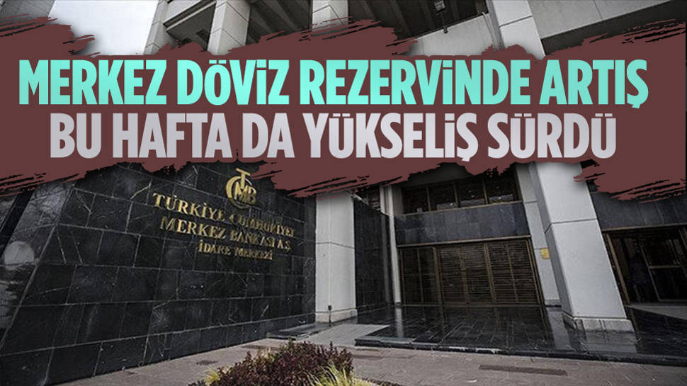 Merkez Bankası döviz rezervlerinde artış sürüyor