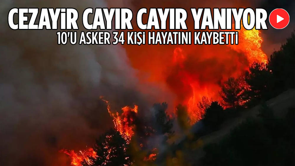 Cezayir’de orman yangınları: 34 ölü