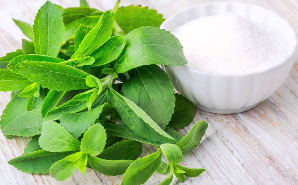 Stevia bitkisi nedir, nerelerde kullanılır, Stevia bitkisinin faydaları ve yan etkileri nelerdir?