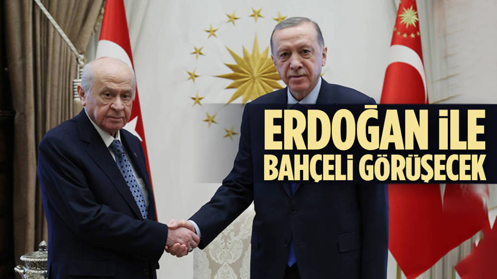 Erdoğan ile Bahçeli görüşecek