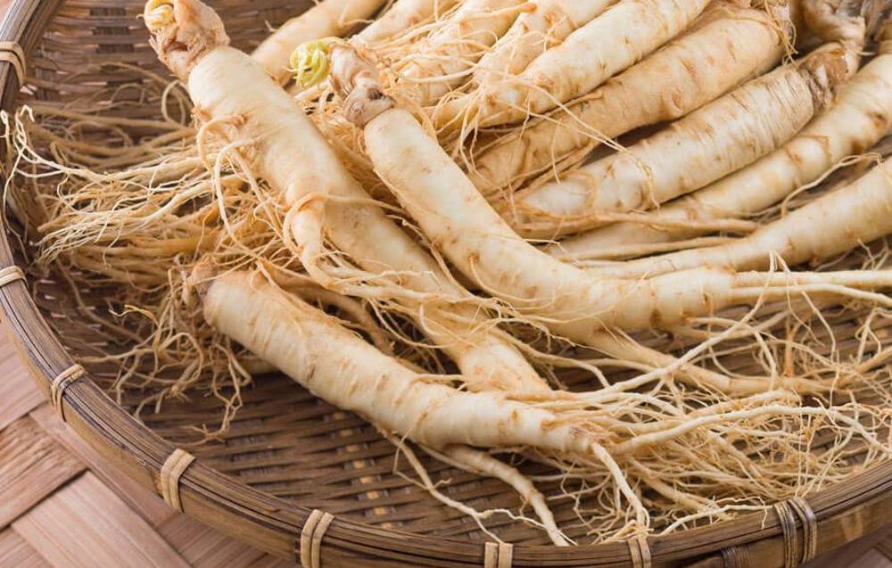 Ginseng Nedir, Ginsengin Vücuda Faydaları ve Zararları Nelerdir?