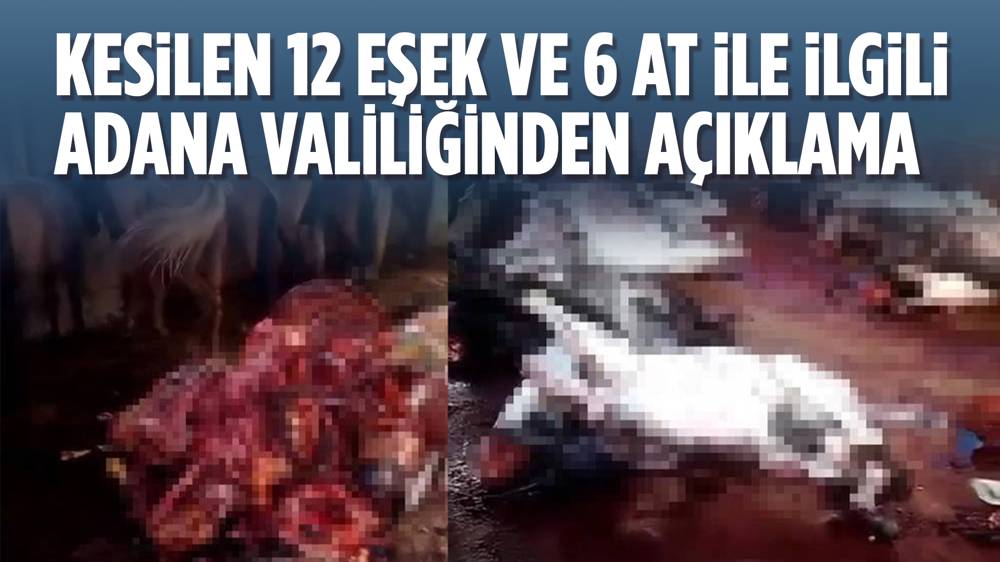 Adana Valiliğinden kesilen 12 eşek ile 6 at ile ilgili açıklama