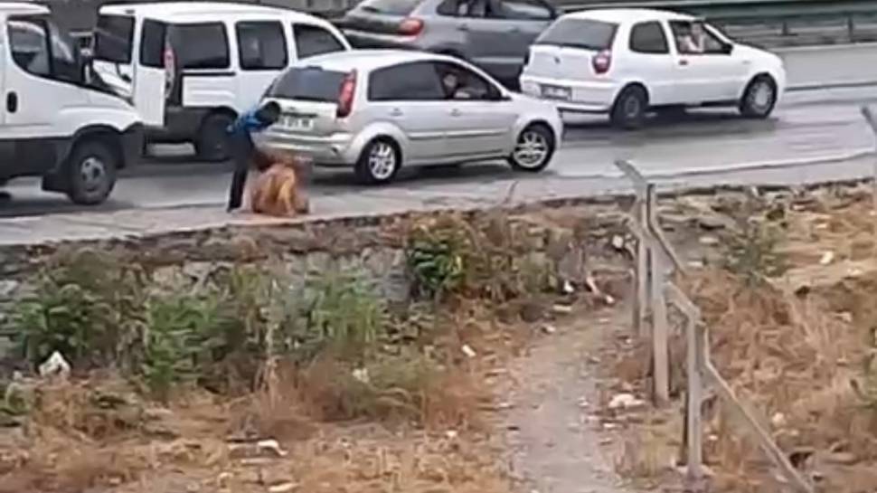 Tartıştığı kadını sokak ortasında dövdü