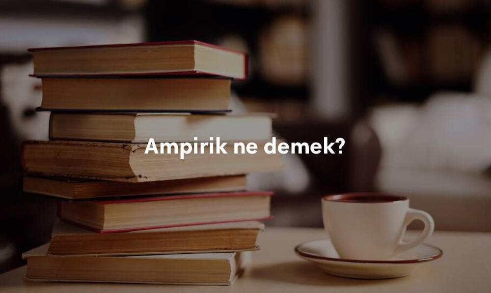 Ampirik Ne Demek: Türkçe'de Ampirik Yaklaşımın Anlamı ve Önemi