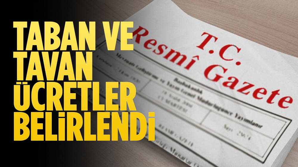 Cumhurbaşkanı Kararı Resmi Gazete'de Yayımlandı