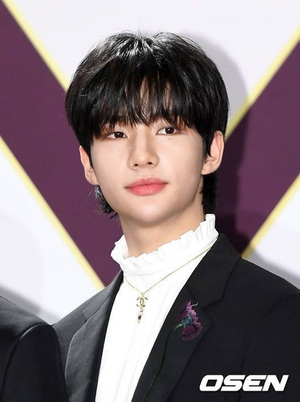 Stary Kids Hyunjin kimdir?