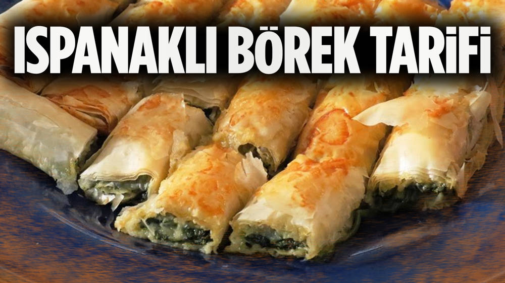 Ispanaklı Börek Tarifi