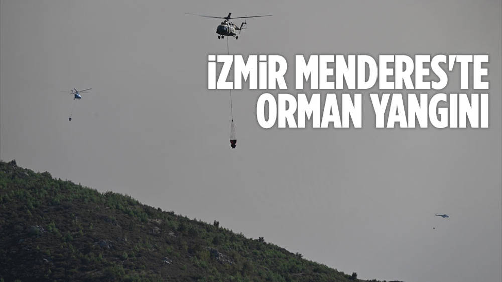 İzmir Menderes’te orman yangını