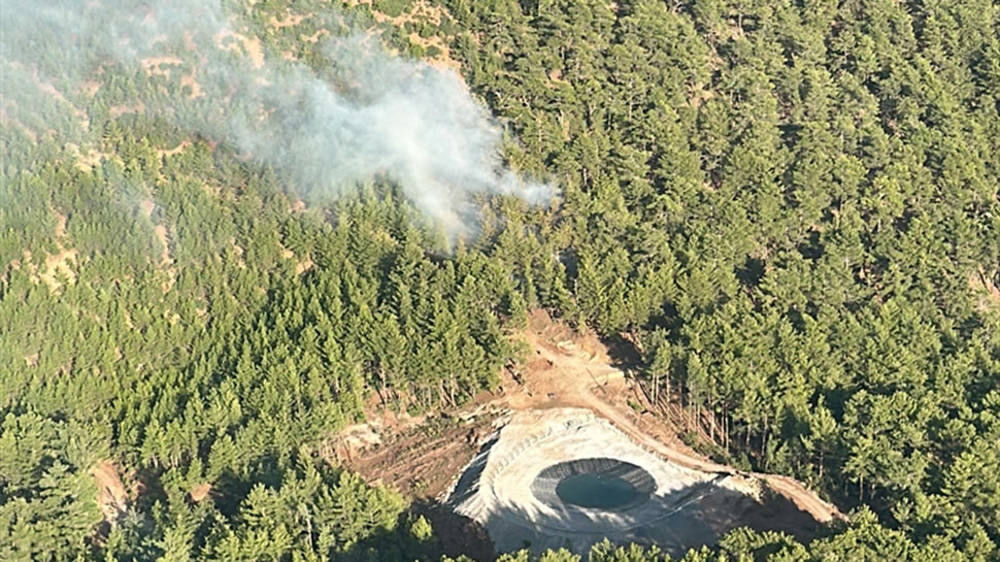 Muğla Köyceğiz'deki orman yangını kontrol altına alındı