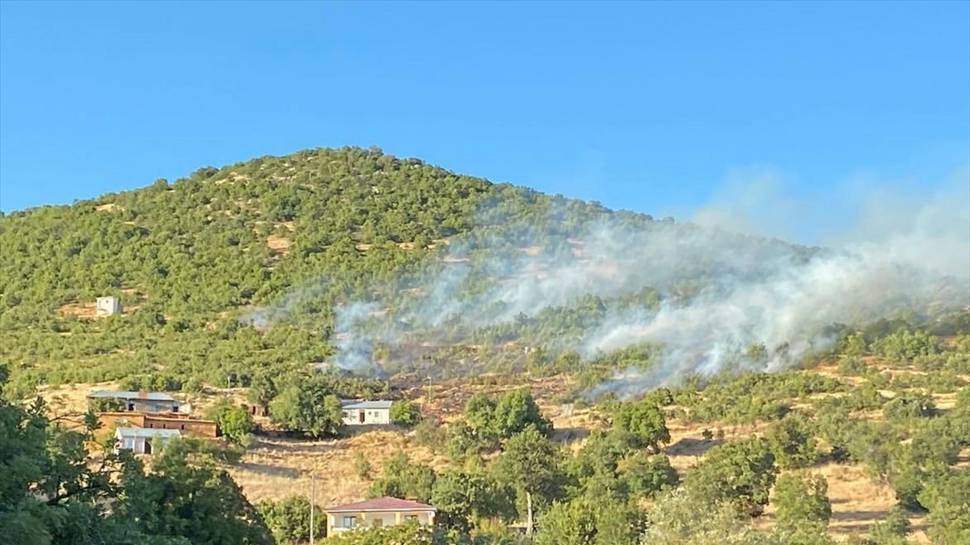 Tunceli’de ormanlık alanda çıkan yangın söndürüldü