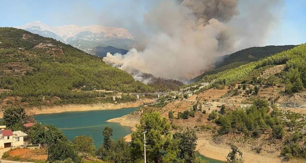 Alanya'daki orman yangınında gelişme 