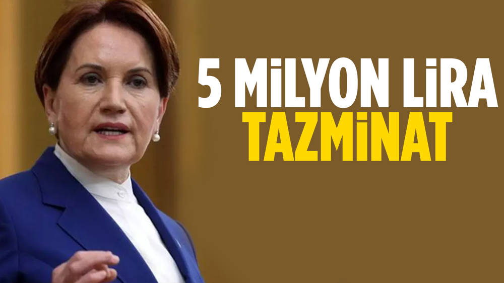 Akşener'den Anayasa Mahkemesi'ne başvuru!