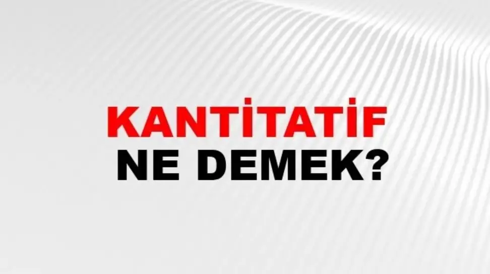 Kantitatif Nedir?