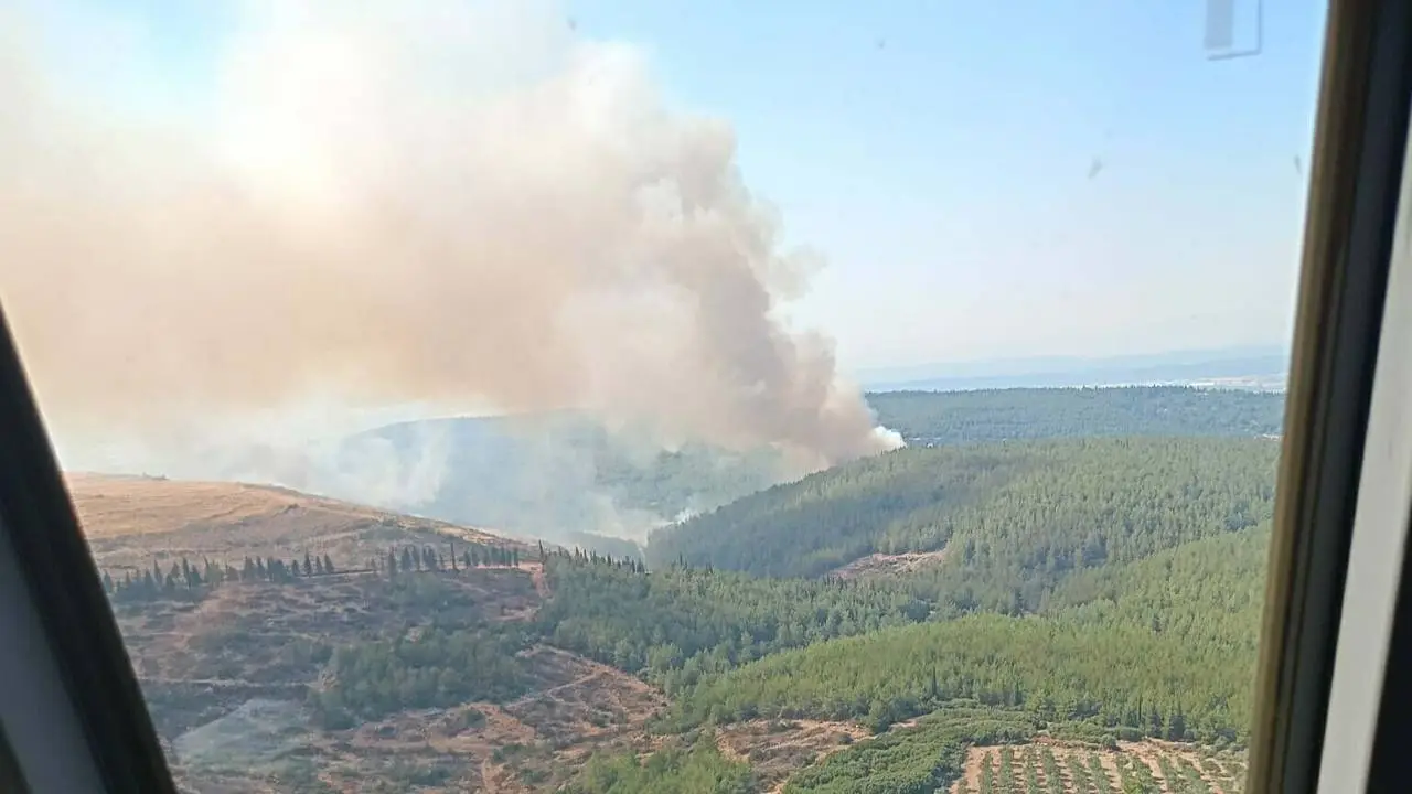 İzmir Menderes'teki yangın kontrol altına alındı