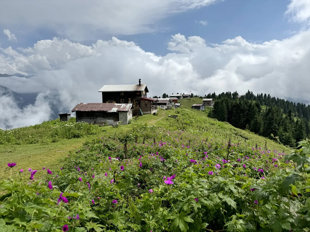  Doğayı koruma vurgusu 