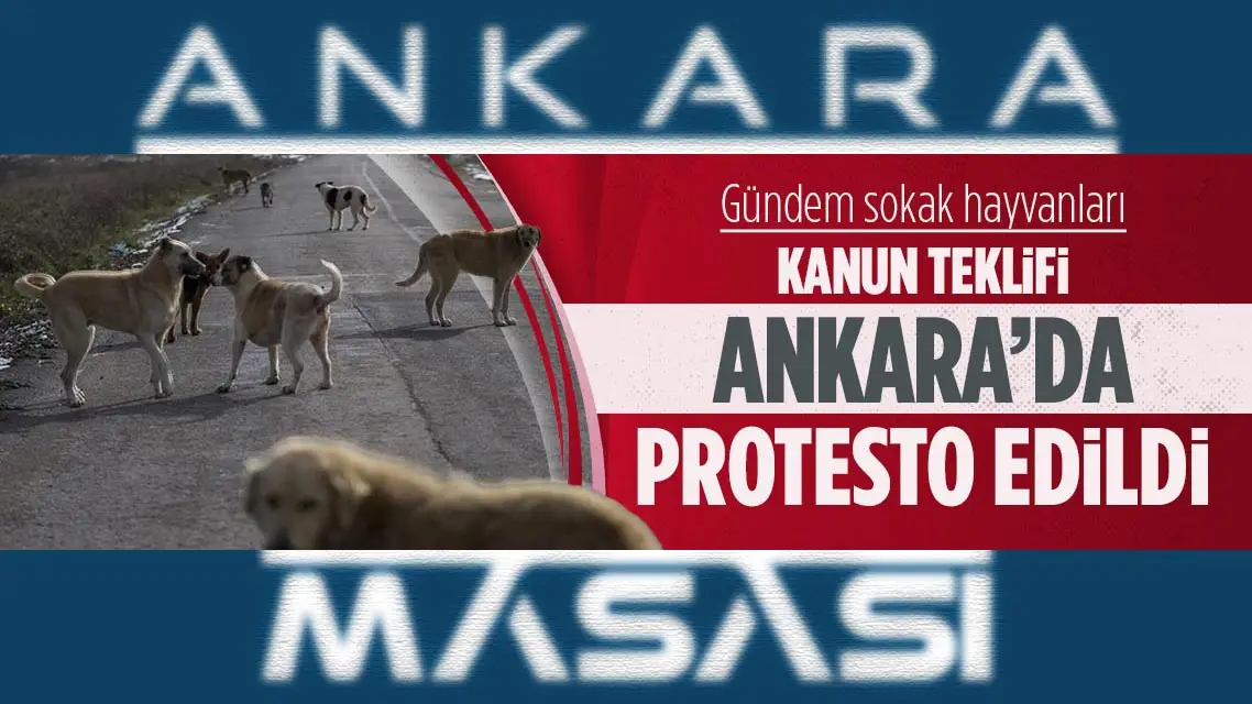 Başkent Ankara'da 'sokak hayvanları' protestosu...