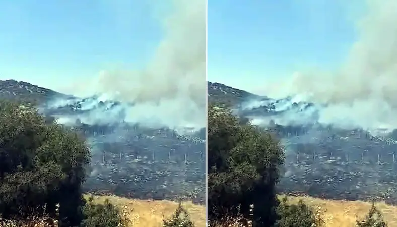 Ciğerlerimiz yanıyor! Kahramanmaraş’ta korkutan orman yangını!