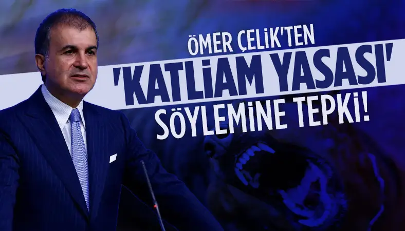 Ömer Çelik'ten ''katliam yasası'' açıklaması