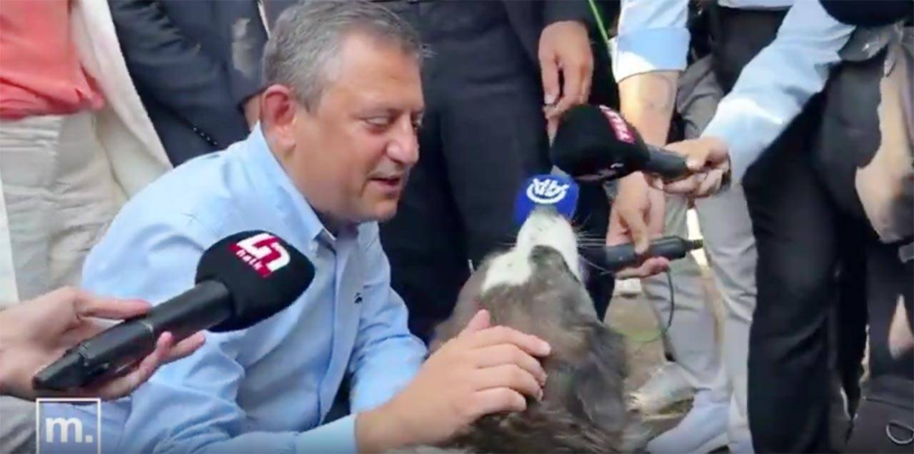 Özgür Özel, karşılaştığı sokak köpeği ile sohbet etti!