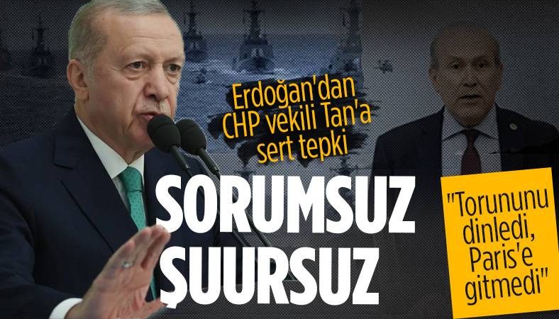 Erdoğan'dan Tan'ın ''Mavi Vatan'' ile ilgili sözlerine tepki