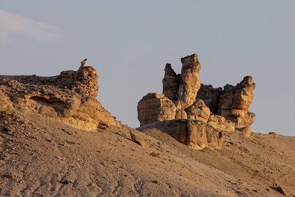 Eşsiz Manzaralar