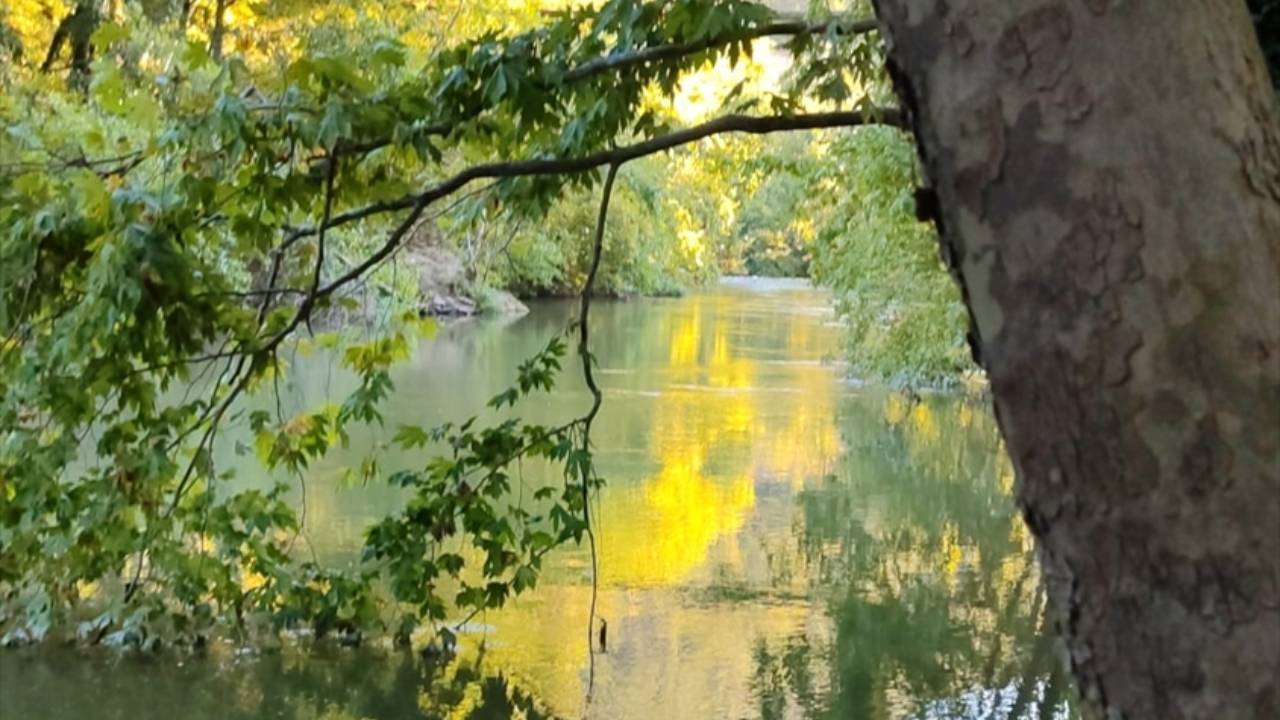 Balıkesir'de çaya giren genç kayboldu...