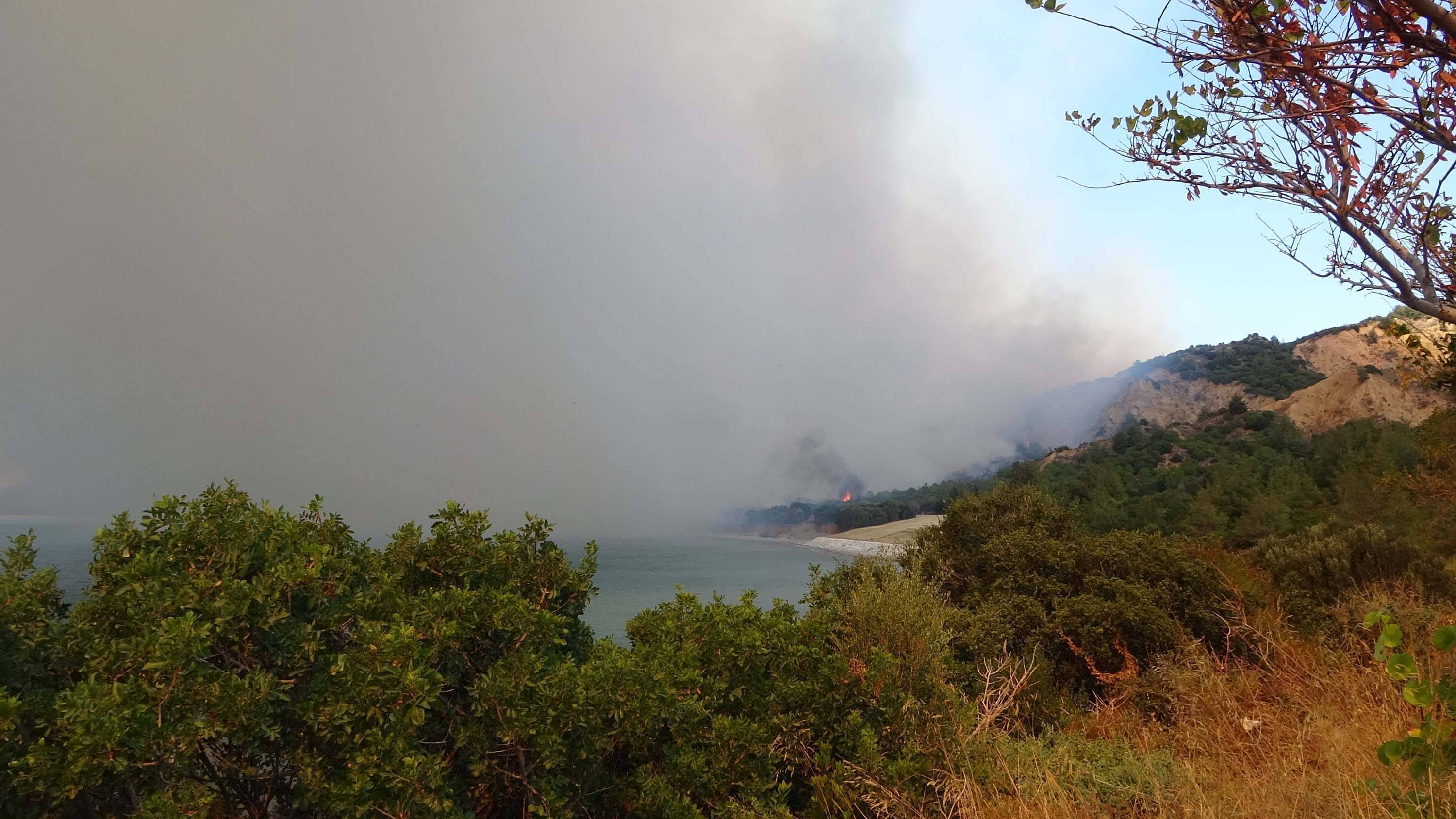  Tedavi altına alınan 3 kişinin sağlık durumlarının iyi olduğu, hayati tehlikelerinin bulunmadığı bildirildi. 