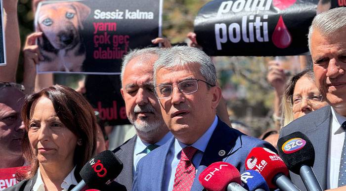 CHP sokak hayvanları yasasının iptali için AYM'ye başvurudu