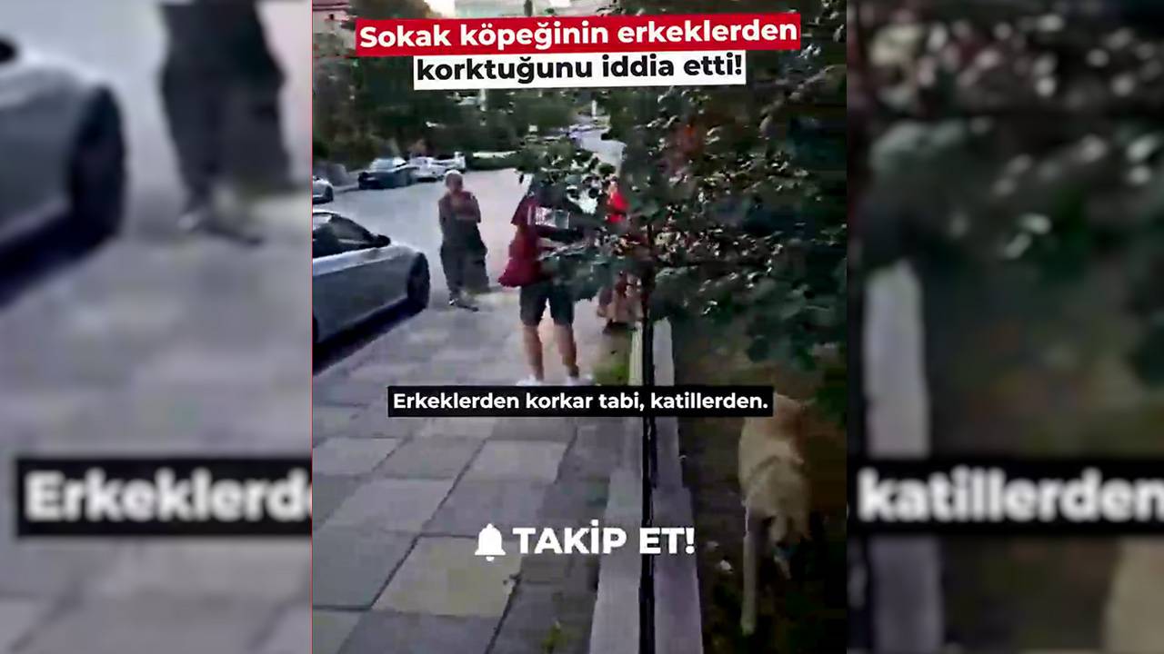 Erkeklere “katiller” dediler, sokak köpeğine “prenses!”