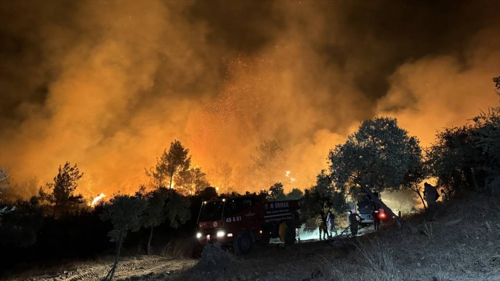 Muğla'daki orman yangınına ilişkin bir baba ve oğul yakalandı