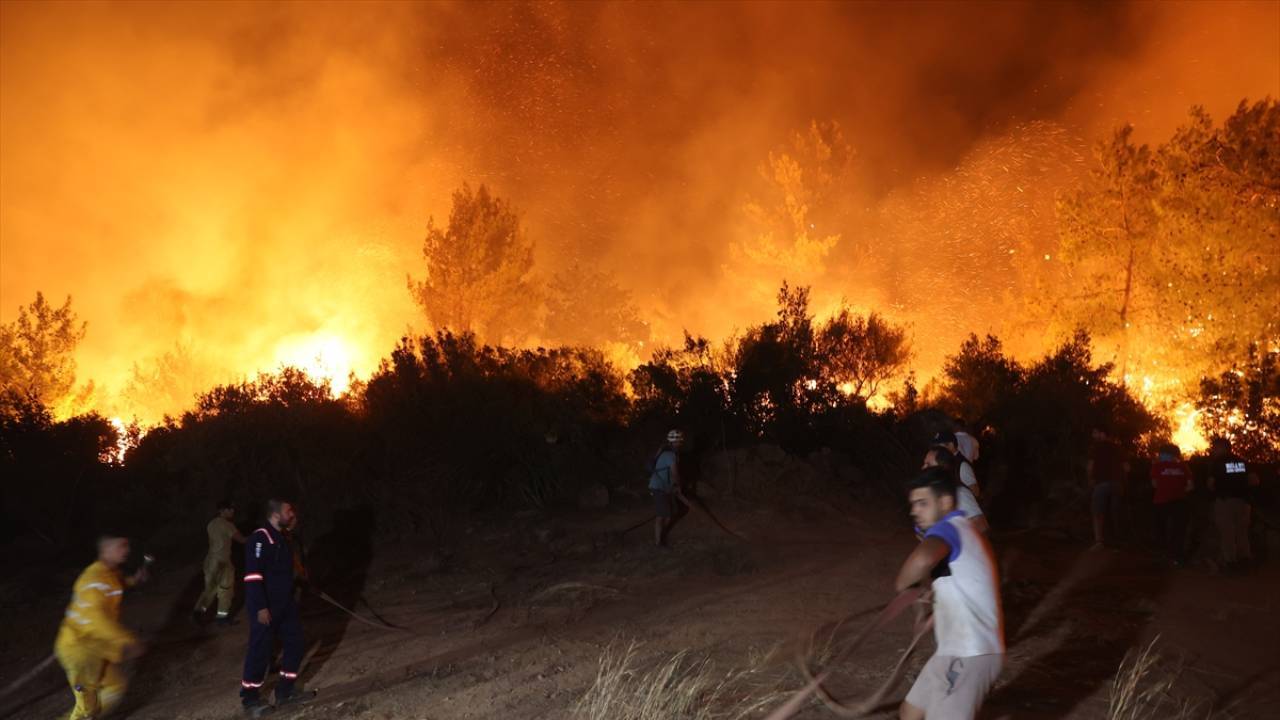 AFAD'dan 5 ildeki yangınlarla ilgili açıklama...