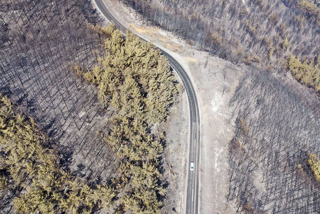 Bolu’da yangında zarar gören ormanlar havadan çekildi