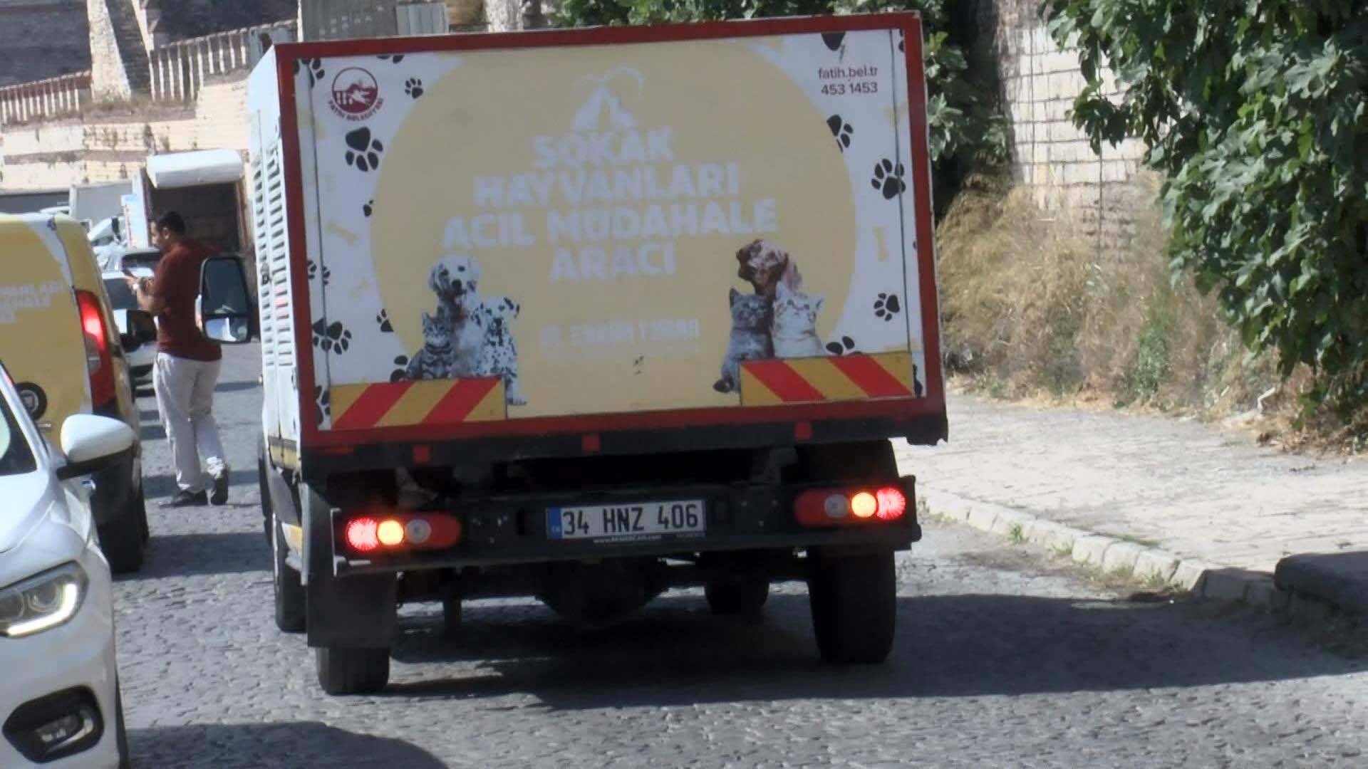 Köpek saldırısında ölüm sonrası Fatih belediyesi ve İBB'ye soruşturma