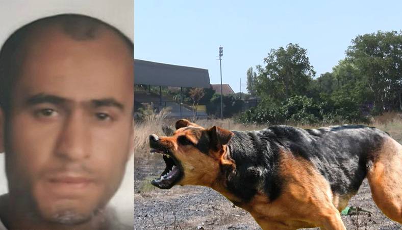 Fatih'te, 'öldüren köpek' nedeniyle bölgede tedbirler artırıldı