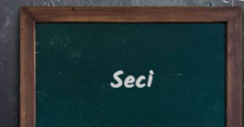 Seci Nedir?