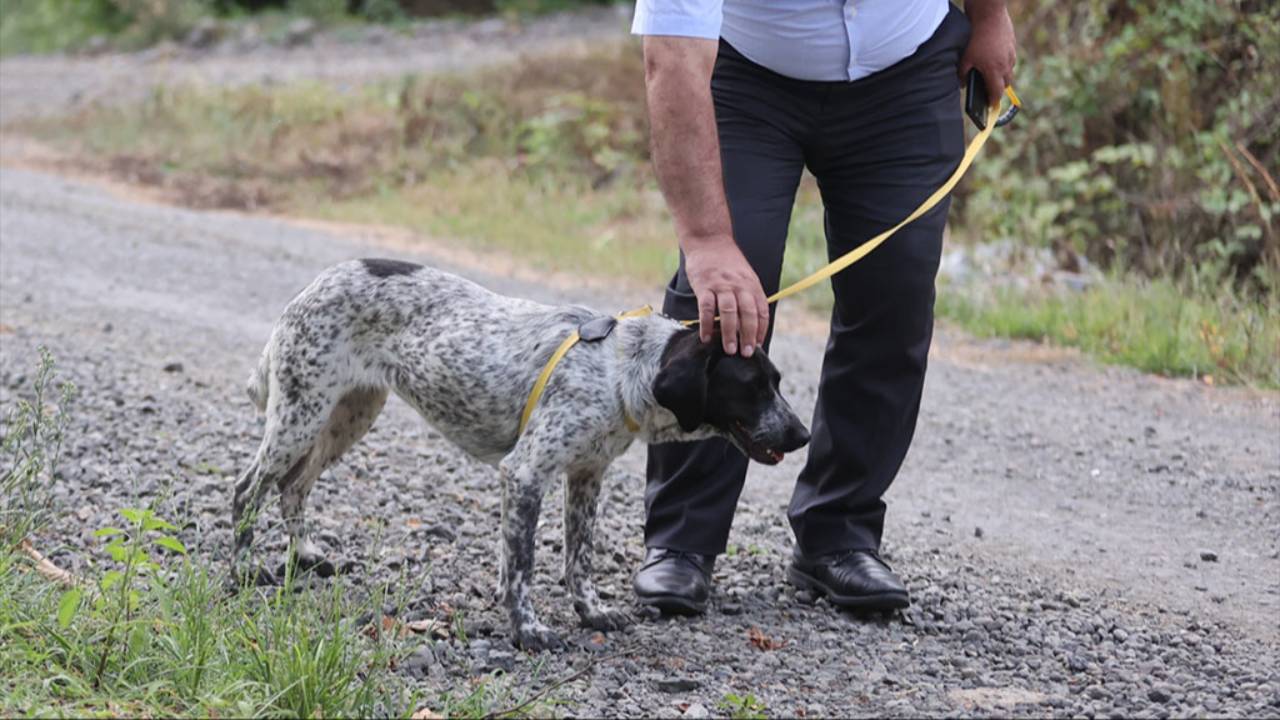 Belediye Başkanı hasta köpeği sahiplendi