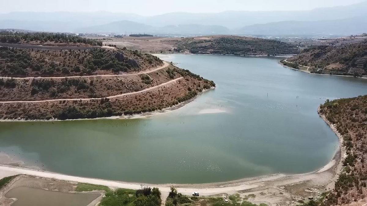 Boğazköy Barajı'nda balıklara yetecek kadar su kaldı