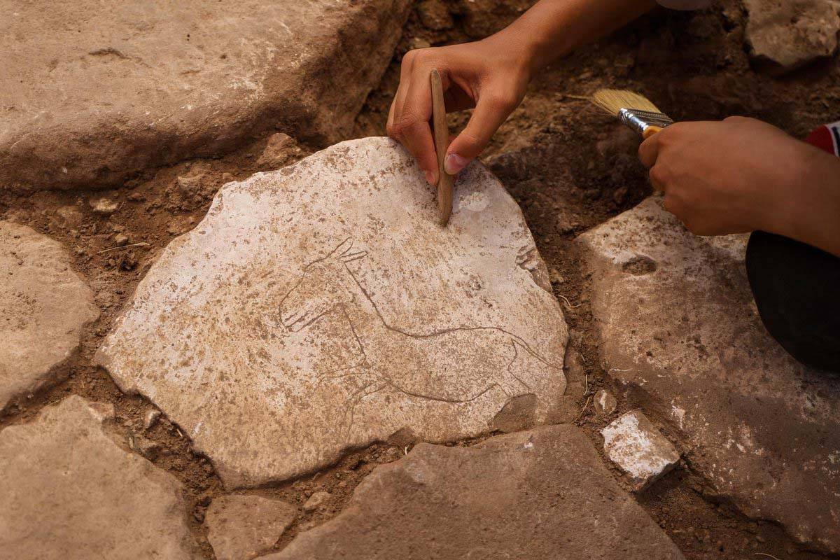 Karahantepe’de yeni keşif: Koşar halde yaban eşeği figürü