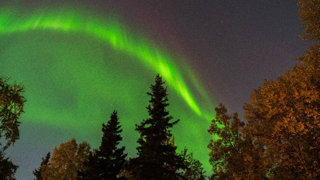 Alaska'da Kuzey Işıkları