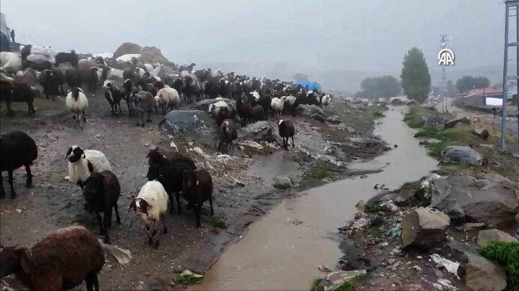 Ağrı'da sağanak yağış etkili oldu