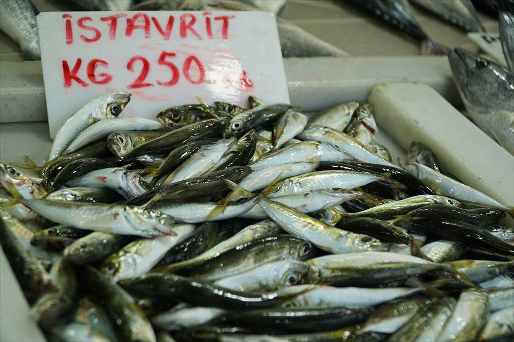 Tekirdağ'da istavrit, balıkçı tezgahlarında!