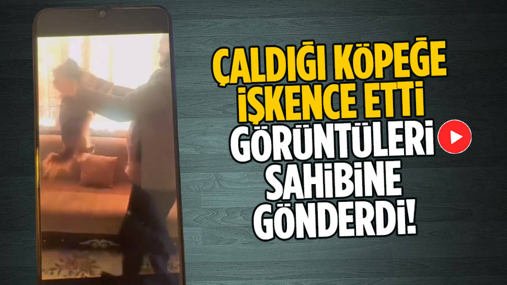 Köpeği çaldı, işkence görüntülerini sahibine gönderdi