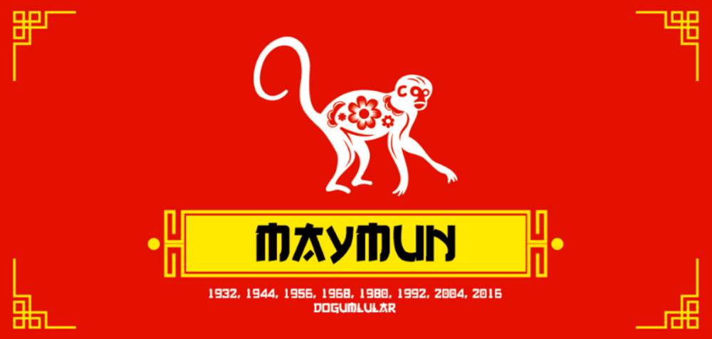 Çin Astrolojisinde Maymun Burcu