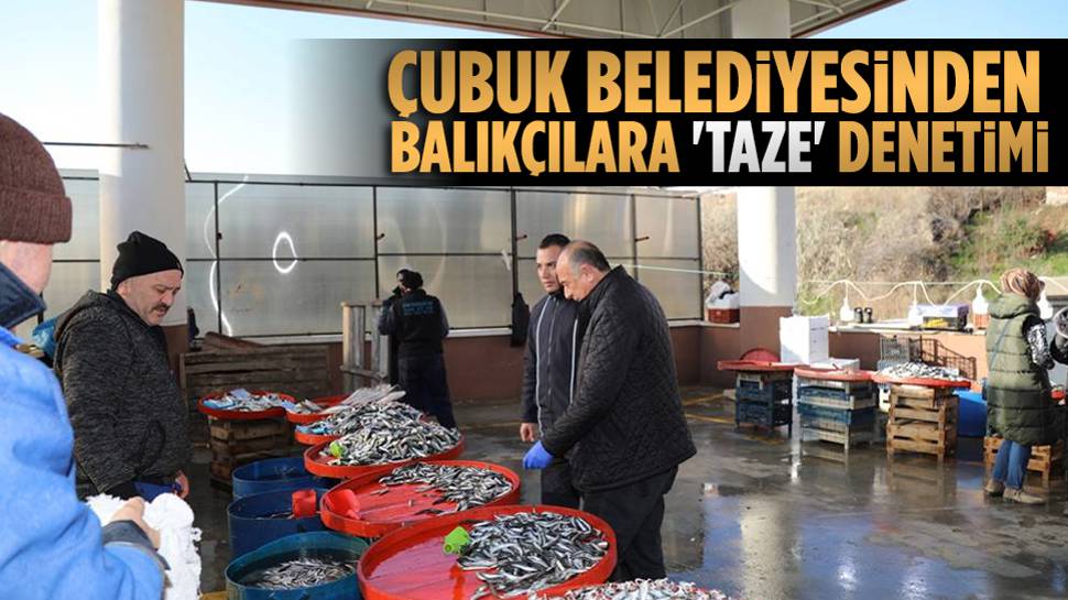 Çubuk Belediyesinden balık esnafına denetleme!