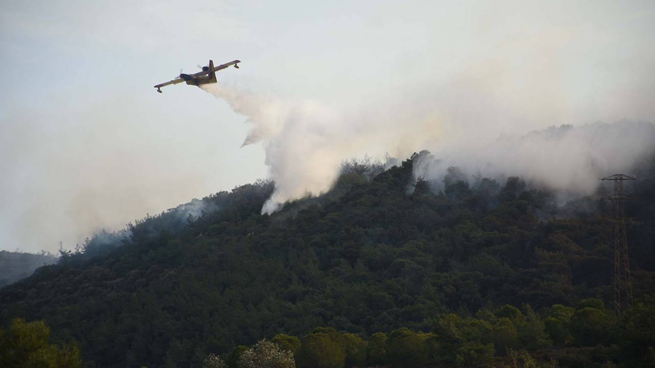 İzmir Foça'daki yangın kontrol altında