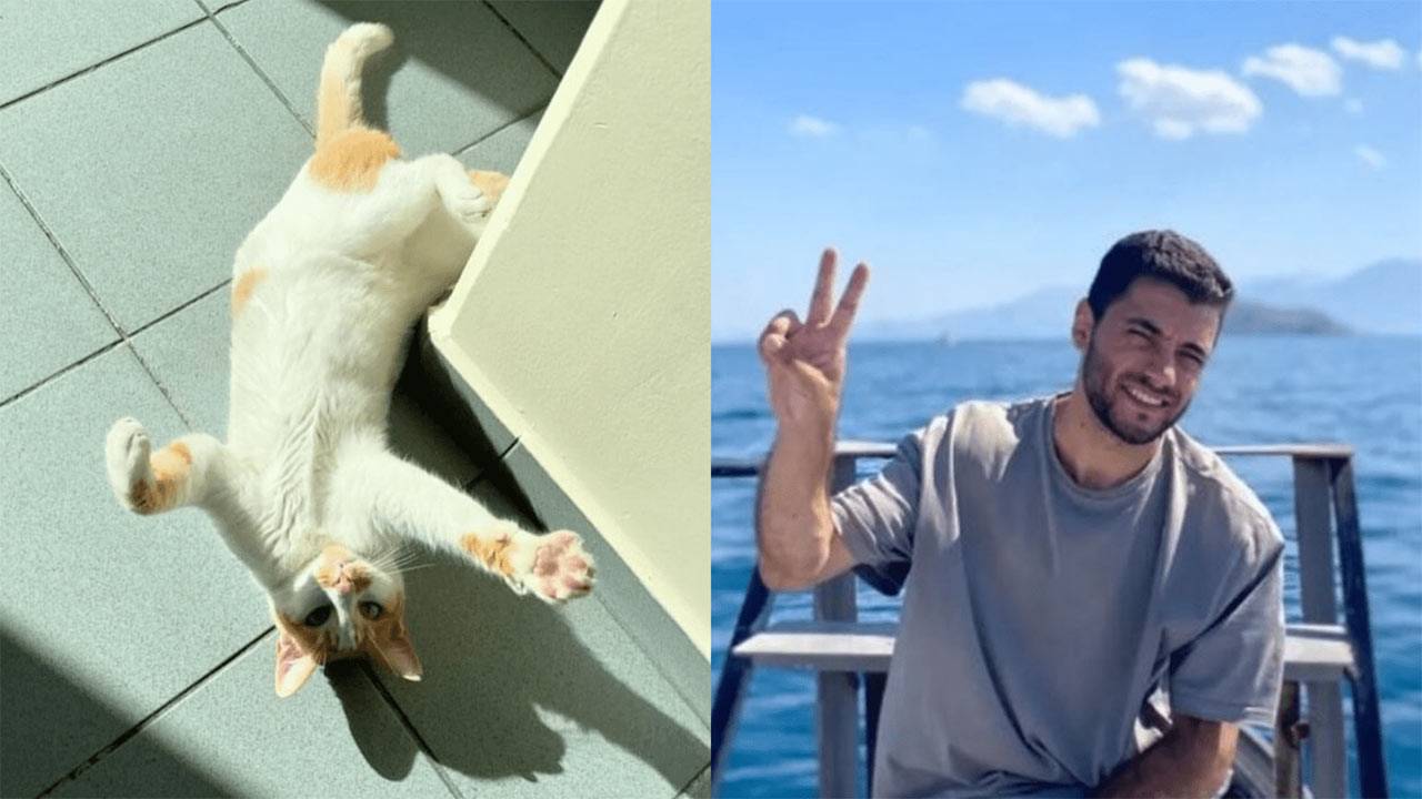 Kedi Faruk'u camdan iten gözetmen için istenen ceza!